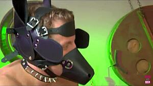 How do lingerie brunettes handle group double penetration?