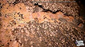 Novinha se masturbando na praia