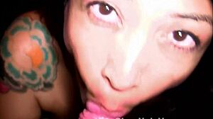 three asian pov blowjob scenes in compilation