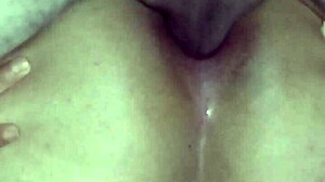 amina the slut gets fucked in pussy and ass