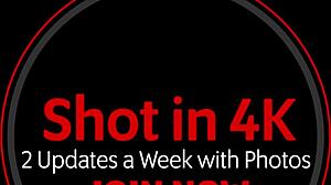 slutty step-sister quinn gets horny from dick pics 😏