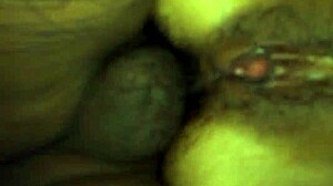 De Perrito Anal Quiero Trio