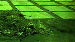 Big Tit Fuck Slave Shagadelic B Gets Dominated Hard