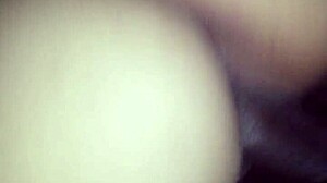 Rhode Island Tice Takes on Monster Cock