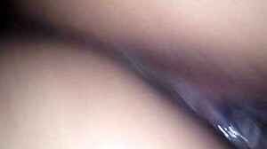 Rhode Island Tice Takes on Monster Cock