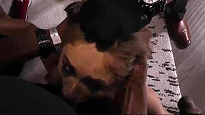 skylar snows first interracial gangbang