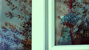 public nudity milf in stockings washes window