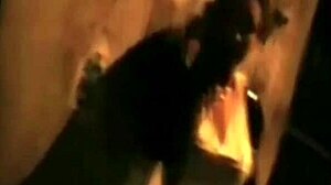 South American Transgender Miss T Teases With Crossdressing Charm