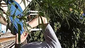 Intense Gay Sucking And Fucking In The 420 Patch