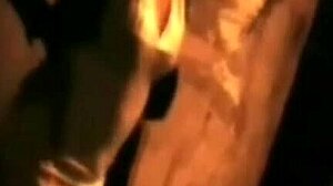 South American Transgender Miss T Teases With Crossdressing Charm