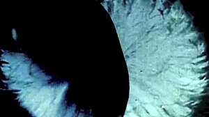 Exploring Vintage Porn Nostalgia with Retro Clips