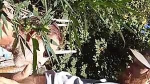 Intense Gay Sucking And Fucking In The 420 Patch