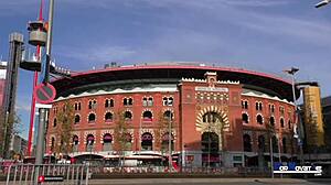 Hey, Miss Peach takes on Mr. Banana in this POV blowjob showdown.