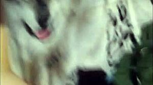 She BENDS OVER for DOGGYSTYLE ASS FUCKING