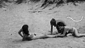 Vintage Lesbians Enjoy Outdoor Threesome In Nature