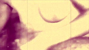 vintage porn comparison 1860 versus 1960 mature hairy scenes