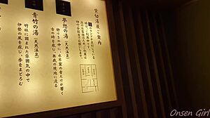 Exploring the Ancient Inn with Nacchi on a Japanese Journey