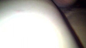 is my little mexican ready for more?