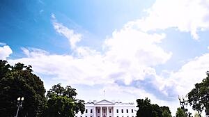 Ornella Morgan's job interview turns into POV blowjob fun