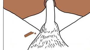 African Couple Fucking Intensely In Drawing Room Part 2!