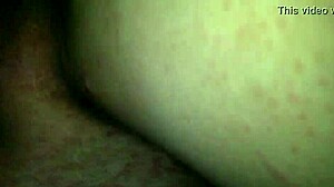 is my little mexican ready for more?