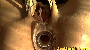 these anal whores stretch their gaping asses with toys. big butts take every inch in high definition.