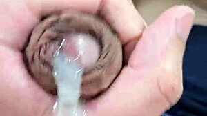 पुन्हेटा सोलिटारिया: क्यूट ब्राजीलियन ट्विंक सोलो सेशन एक्सोटिक फ्लेयर के साथ