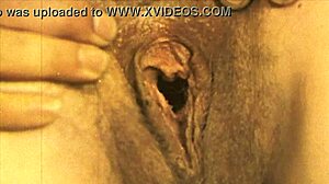 vintage family taboo unfolds during a dirty holiday weekend