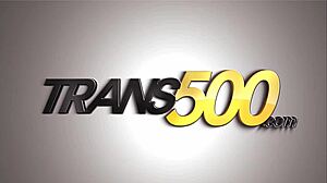 Stud Probes Shemale's Tight Asshole