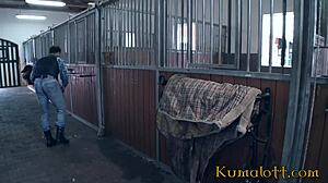 Milf rides hot cock while licking big tits