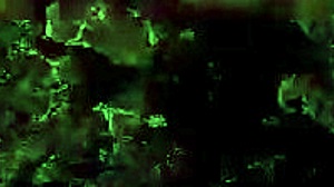 Vintage Interracial Scene with White Cocks Drilling Black Pussy in Hairy 3some