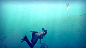 Let's Play Beasts In The Sun Part 1: The Beach