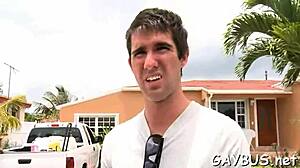 Discover Free Gay Porn Resources Online