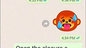 Beautiful Teen Student with Big Tits Sexts and Gets Fucked by Monster Cock on Web Chat