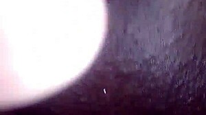 Salsero engages in intense fucking session