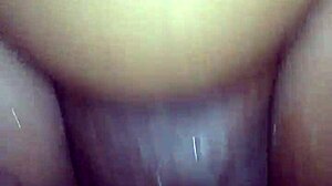 Salsero engages in intense fucking session