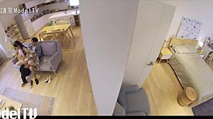 curious about hidden modeltv peeking series highlights? dive into the unseen moments now. what’s waiting?