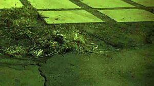 Extreme Fuck Hard Unless You're from the Sixties and Dig That Earth