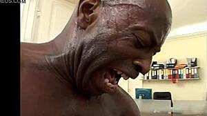 Sexy sluts music video compilation with cumshots