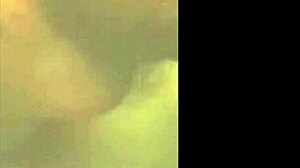 Two Neighbors and Two Cocks in a Provocative Encounter