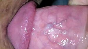 want to see anal with the toothless one?