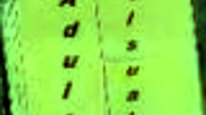 Harem Hotel 17: Anime Game in Hotel Setting