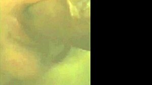 Two Neighbors and Two Cocks in a Provocative Encounter