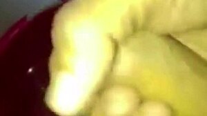 El Ganzo Bomita in Unique Performance