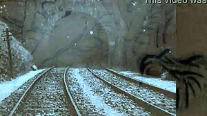 Vintage Illustration Collection