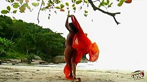 Pretty brunette has hot anal sex on beach