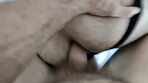 Bear Meeting Part 3!