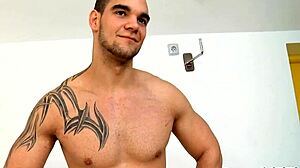 homosexual in natures garb sex