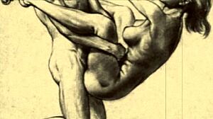 vintage erotic drawings from retro cartoons