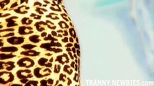 shemales like me give amazing blowjobs in lingerie with big cocks and anal